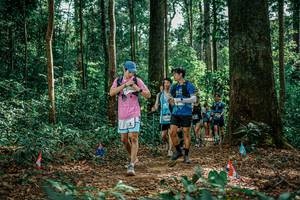 BIB: 
                            <button type="button" onclick="openModal(26135271)" class="btn btn-primary btn-sm float-right btn-popup" data-toggle="modal" data-target=".modal-high-quality">
                        <i class="fas fa-shopping-cart"></i> Add to Cart
                    </button>
                                            <button type="button" onclick="isThisMe(26135271, true)" class="btn btn-success btn-sm float-right btn-popup btn-isme hidden" data-toggle="tooltip" data-placement="bottom" title="นี่คือรูปของคุณใช่ไหม คลิกที่นี่เพื่อเอาเข้าอัลบั้ม">
                        <i class="fas fa-plus"></i> Add to album
                    </button>
                    <button type="button" onclick="isThisMe(26135271, false)" class="btn btn-warning btn-sm float-right btn-popup btn-isnotme hidden">
                        <i class="fas fa-ban"></i> Remove from album
                    </button>